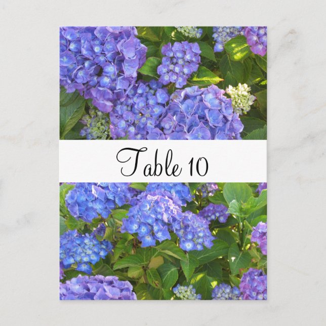 Postale Carte de table pour occasion spéciale avec hortens (Devant)