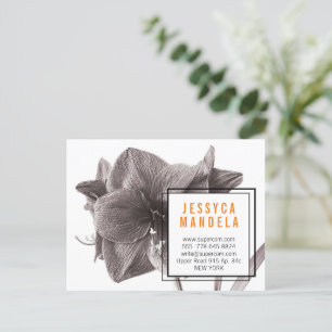 Postale Carte de visite magnétique de fleur d'Amaryllis mo