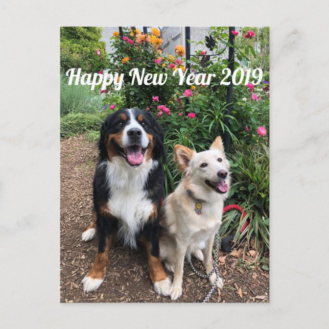 Postale Carte de vœux 2019 de Hanayuki (Devant)