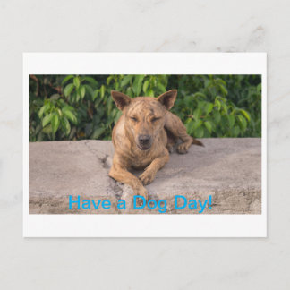 Postale Carte de voeux avec thème Chien