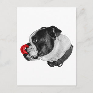 Postale Carte de vœux Bulldog Rouge