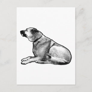 Postale Carte de vœux calme