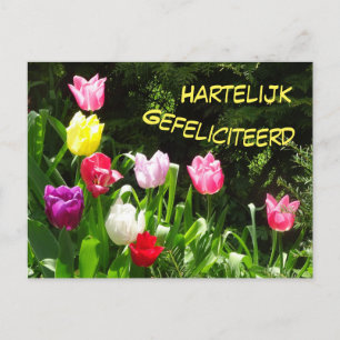 Postale Carte de vœux d'anniversaire aux tulipes colorées
