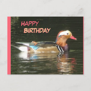 Postale Carte de vœux d'anniversaire avec canard mandarin