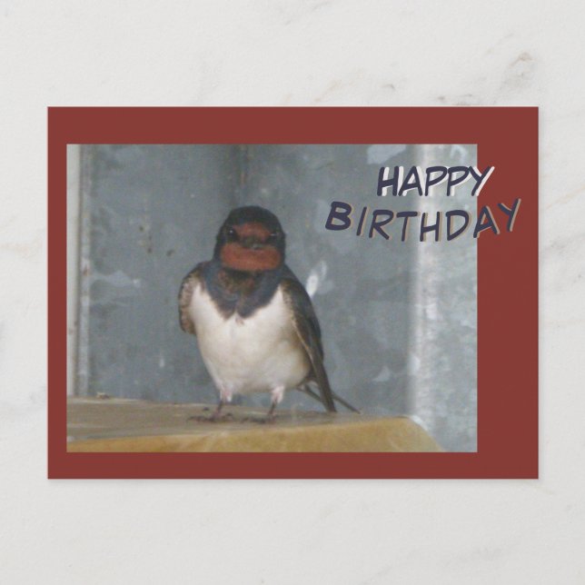 Postale Carte de vœux d'anniversaire avec une Hirondelle d (Devant)