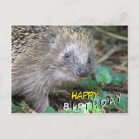 Carte de vœux d'anniversaire Hérisson Mignon