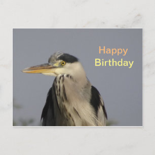 Postale Carte de vœux d'anniversaire Héron cendré