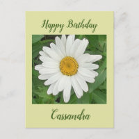 Carte de vœux d'anniversaire Marguerite Blanche