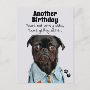 Postale Carte de vœux d'anniversaire Pug Chien en améliora