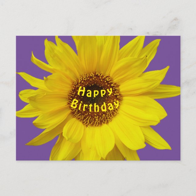 Postale Carte de vœux d'anniversaire Tournesol (Devant)