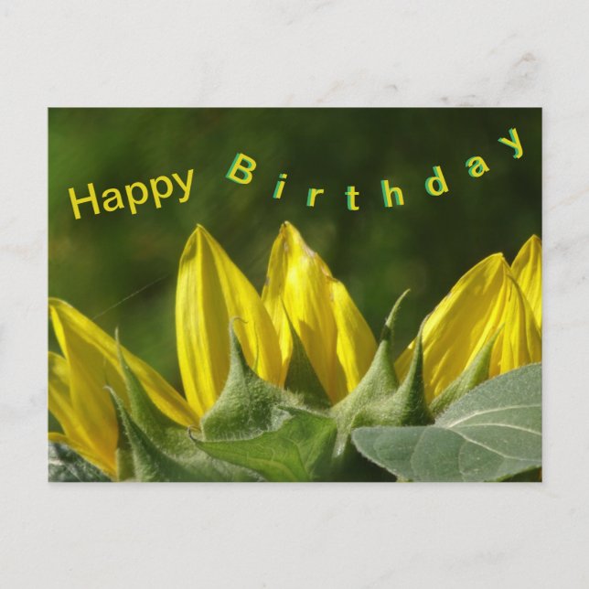 Postale Carte de vœux d'anniversaire Tournesol (Devant)