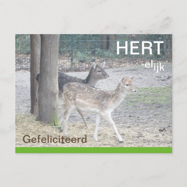 Postale Carte de voeux de félicitations de Damherten HERTe (Devant)