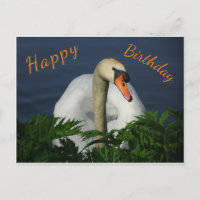 Carte de vœux de joyeux anniversaire au beau cygne