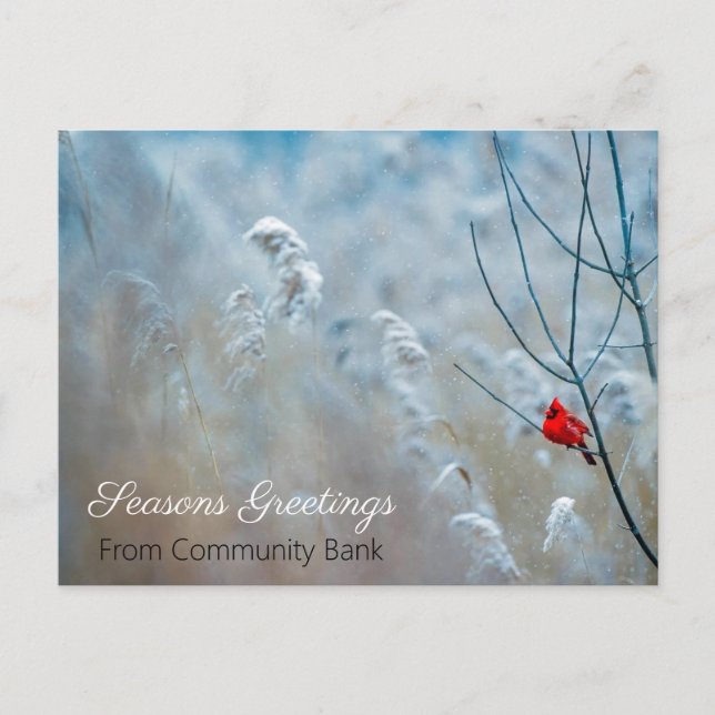 Postale Carte de vœux de Noël Cardinal d'hiver (Devant)