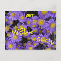 Carte de vœux de rétablissement Michaelmas Daisy C