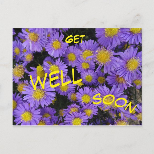 Postale Carte de vœux de rétablissement Michaelmas Daisy C (Devant)