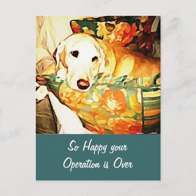 Postale Carte de vœux de rétablissement pour Labrador Retr (Devant)