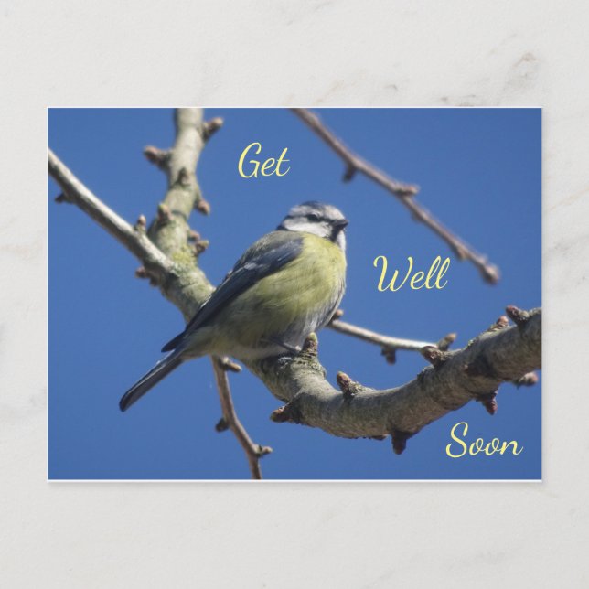 Postale Carte de vœux de rétablissement pour Petit Oiseau  (Devant)