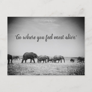 Postale Carte de voeux des générations d'éléphants