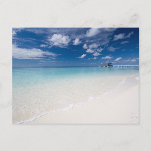 Postale Carte de voeux des vacances (Devant)