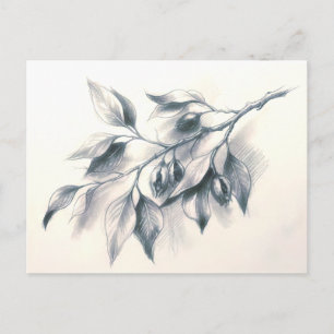 Postale Carte de vœux élégante à l'aquarelle avec branche
