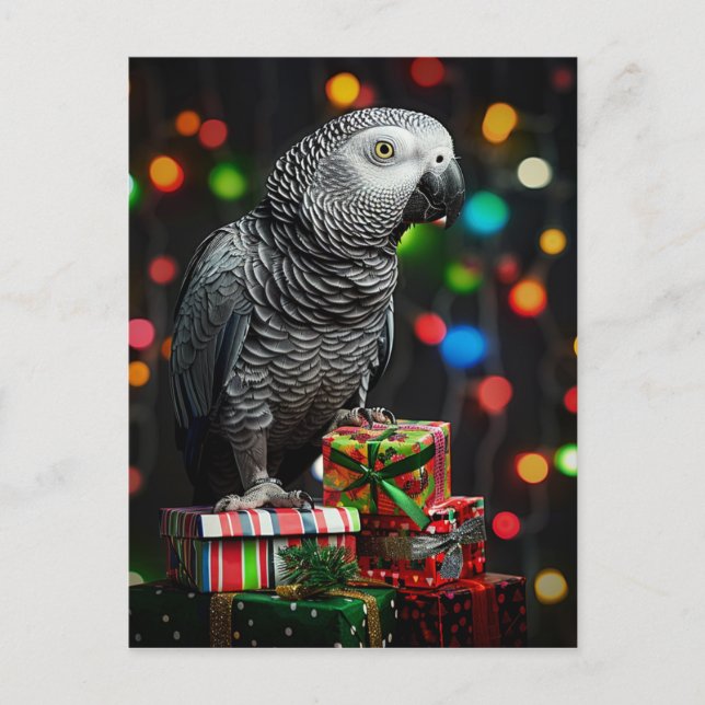 Postale Carte de vœux festive avec un gris d'Afrique sur d (Devant)