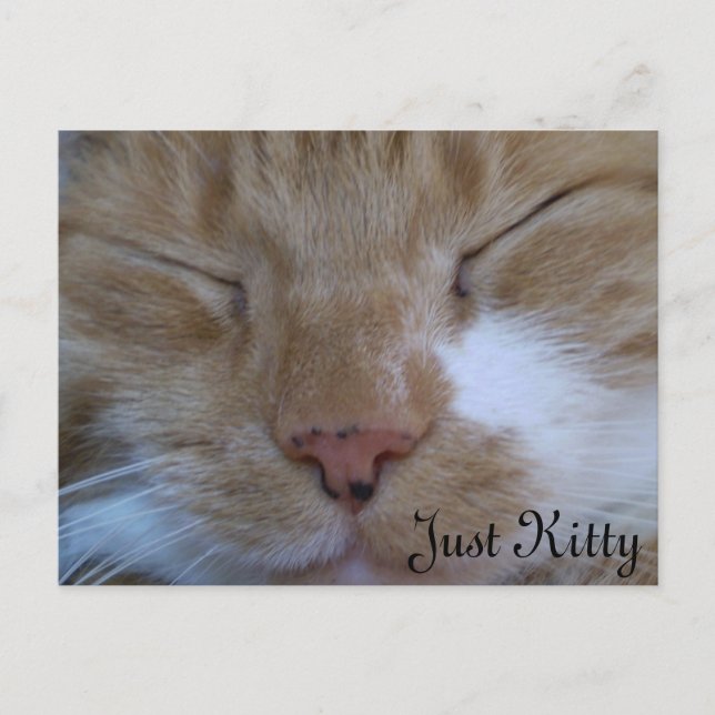 Postale Carte de voeux Just Kitty (Devant)
