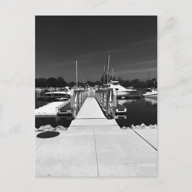 Postale Carte de voeux "Marina on Middle Bass Island" (Devant)