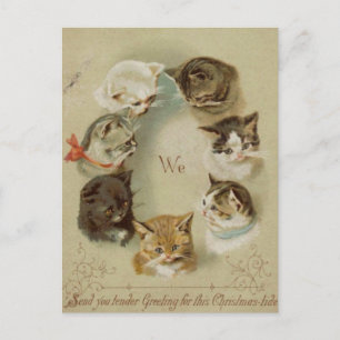Postale Carte de voeux Noël chats