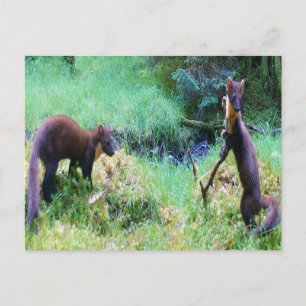 Postale Carte de vœux personnalisable M. et Mme Martre des