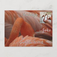 Carte de vœux personnalisée Flamant rose pour Joye