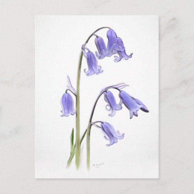 Postale Carte de voeux pliée standard, 12,7 cm x 17,8 cm (Devant)