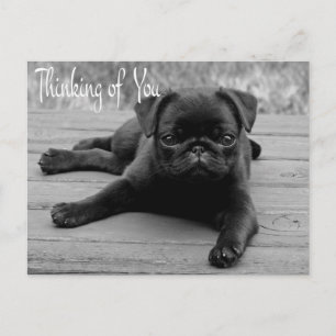 Postale Carte de vœux pour chien Pug Vous êtes dans mes pe