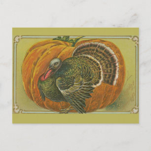 Postale Carte de vœux vintage de Thanksgiving avec dinde e