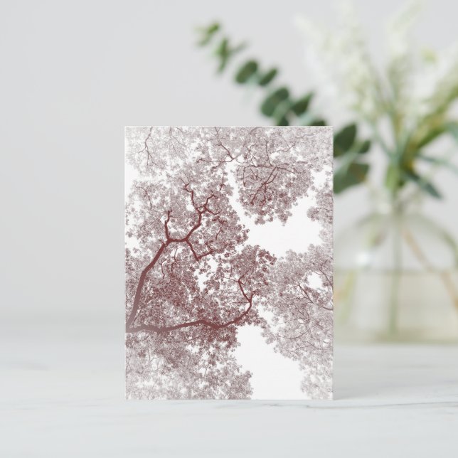 Postale Carte des arbres 4 (Debout devant)