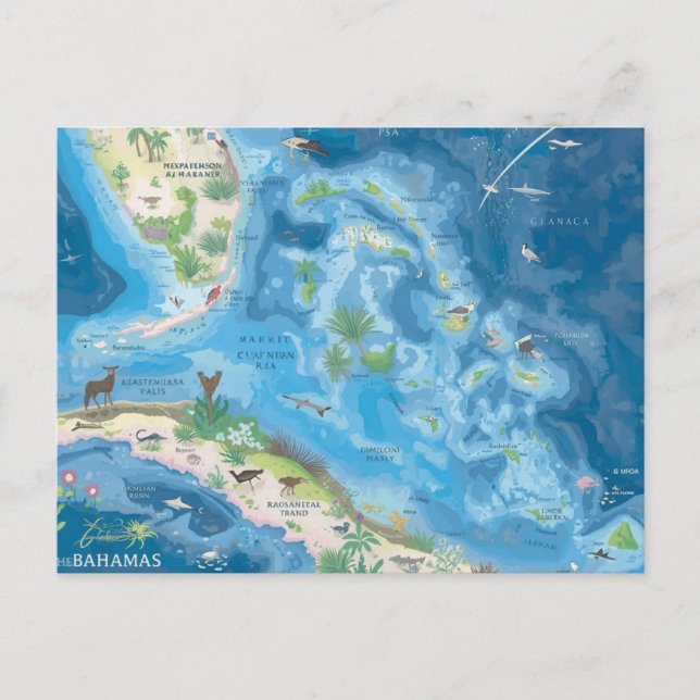 Postale Carte des Bahamas (Devant)