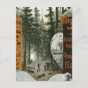 Postale Carte des cantons, Floride