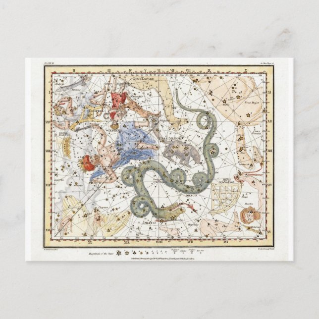 Postale Carte des constellations d'astronomie vintage (Devant)