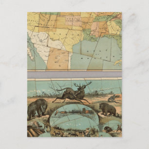 Postale Carte des Etats-Unis d'Amérique 2
