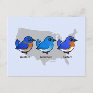 Postale Carte des oiseaux bleus
