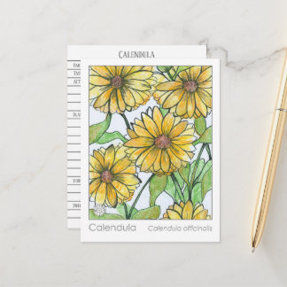 Postale Carte d'étude sur les plantes Calendula Materia Me