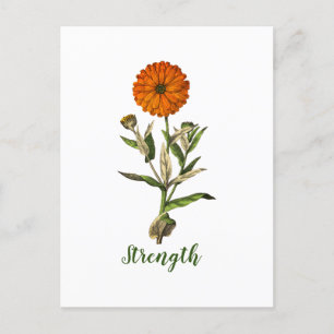 Postale Carte d'inspiration personnalisée Marigold Strengt