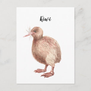 Postale Carte d'oiseau peinte à l'aquarelle de Kiwi.