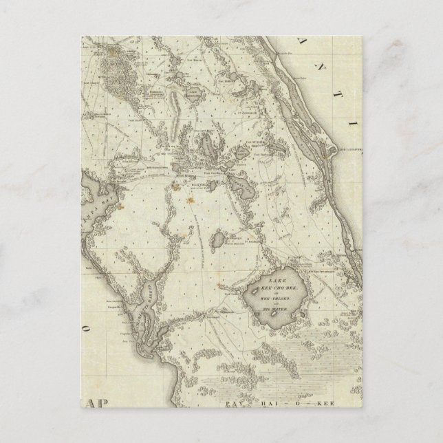 Postale Carte Du Siège De Guerre En Floride (Devant)