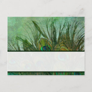 Postale Carte Endroit Écrite Peacock Plumes vertes