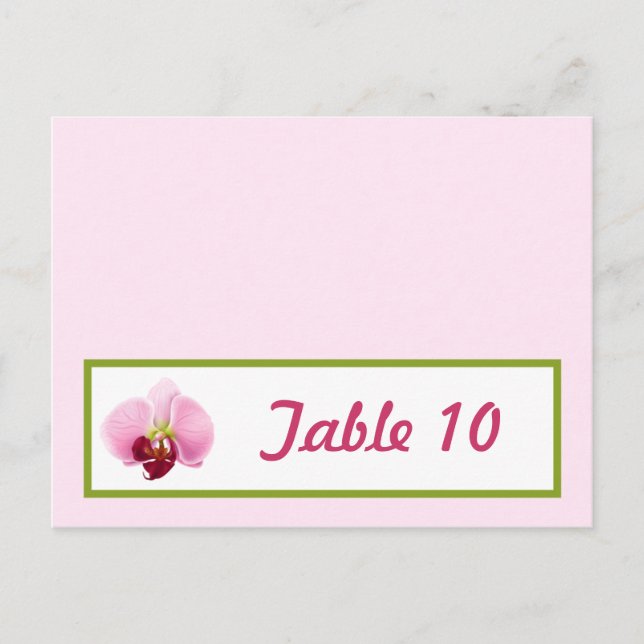 Postale Carte Endroit Écrite Pink Orchid Long Stem Flower  (Devant)