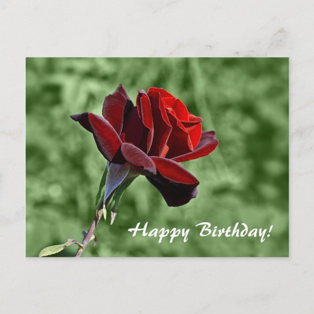 Postale Carte Fleurie Joyeux Anniversaire Rose Rouge  (Devant)