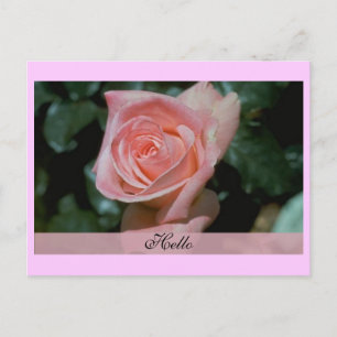 Postale Carte Hello