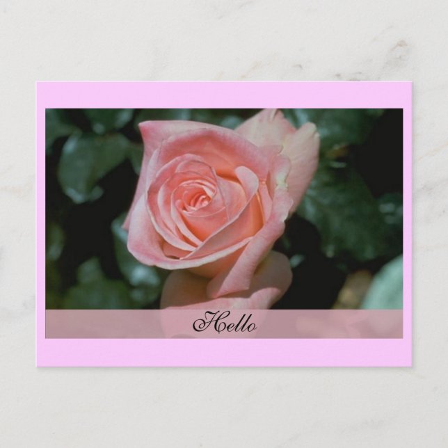 Postale Carte Hello (Devant)