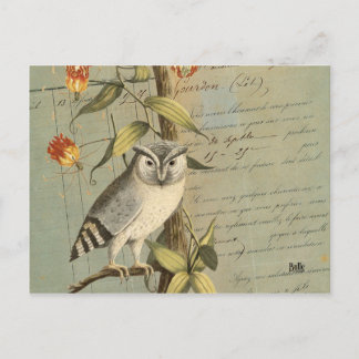 Postale Carte hibou